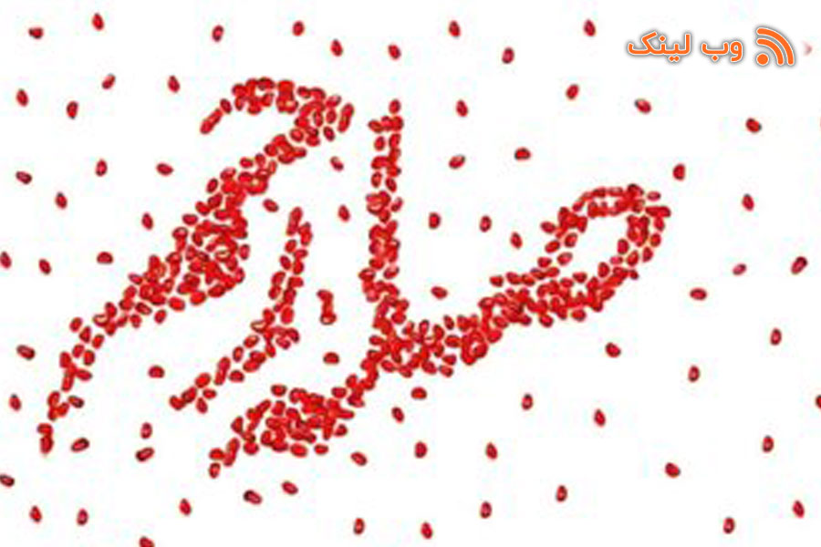 اهمیّت صله رحم در اسلام تا چه حدّ است؟