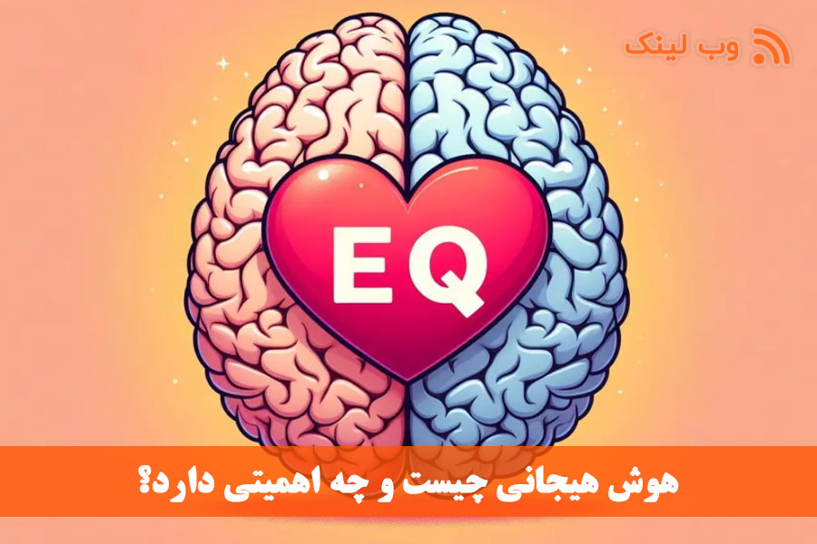 هوش هیجانی چیست