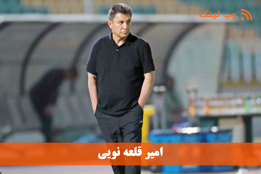 قلعه‌نویی